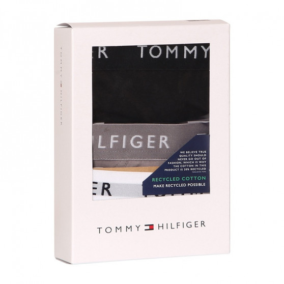 3PACK vīriešu apakšbikses Tommy Hilfiger daudzkrāsains (UM0UM02206 0TG)