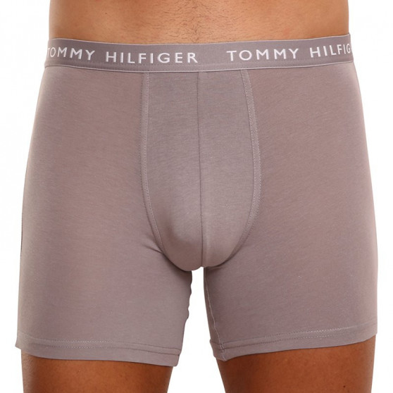 3PACK vīriešu bokseru šorti Tommy Hilfiger daudzkrāsaini (UM0UM02204 0TG)