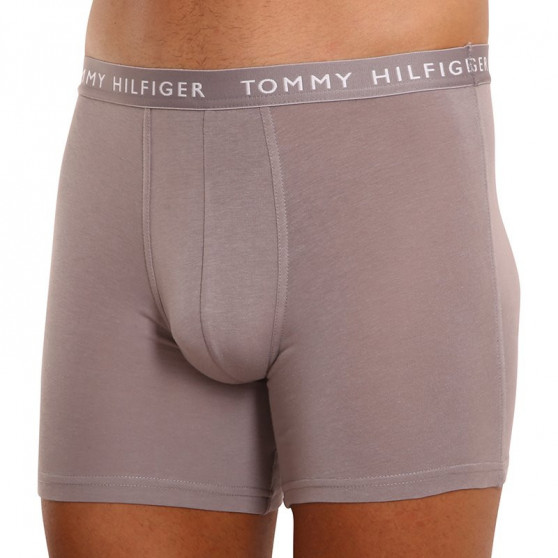 3PACK vīriešu bokseru šorti Tommy Hilfiger daudzkrāsaini (UM0UM02204 0TG)