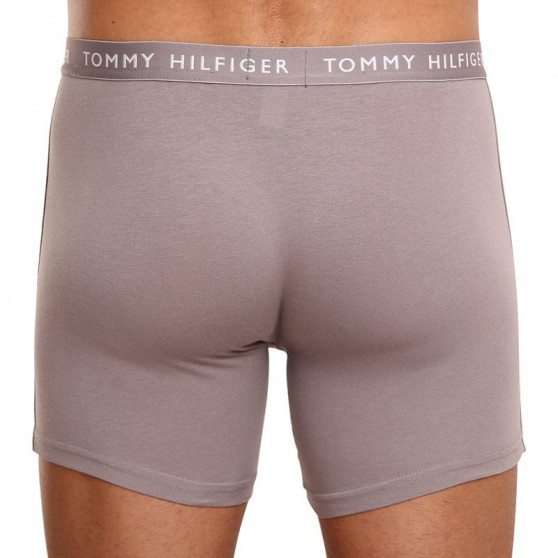 3PACK vīriešu bokseru šorti Tommy Hilfiger daudzkrāsaini (UM0UM02204 0TG)