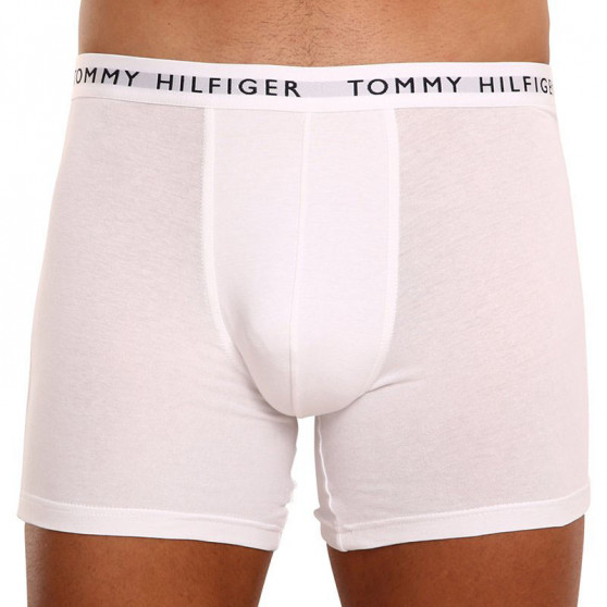 3PACK vīriešu bokseru šorti Tommy Hilfiger daudzkrāsaini (UM0UM02204 0TG)