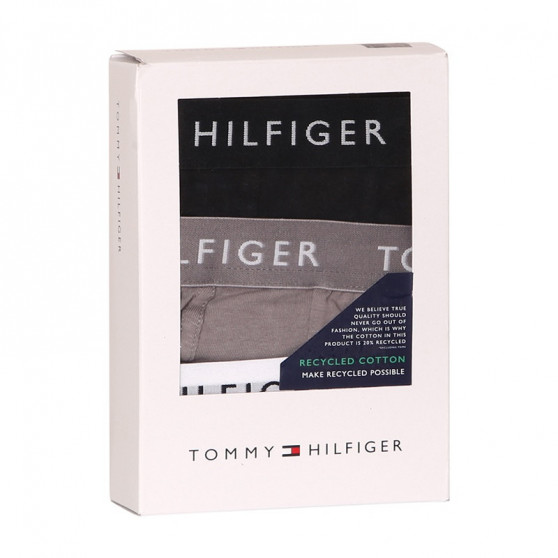 3PACK vīriešu bokseru šorti Tommy Hilfiger daudzkrāsaini (UM0UM02204 0TG)