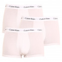 3PACK vīriešu bokseru šorti Calvin Klein balti (U2664G-100)