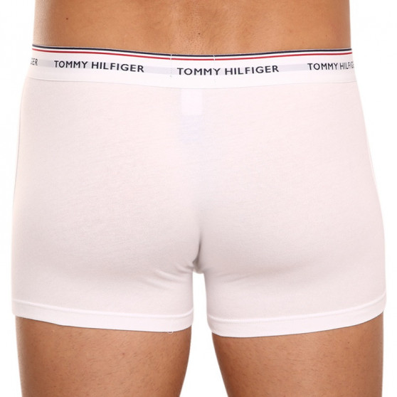 3PACK vīriešu bokseru šorti Tommy Hilfiger daudzkrāsaini (1U87903842 004)