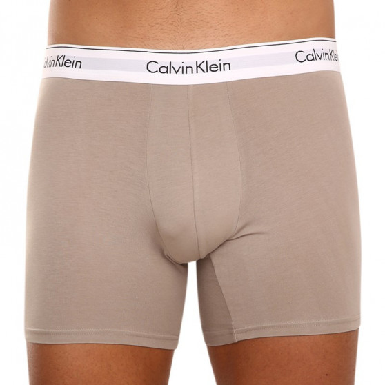 3PACK vīriešu bokseru šorti Calvin Klein daudzkrāsaini (NB2381A-67A)