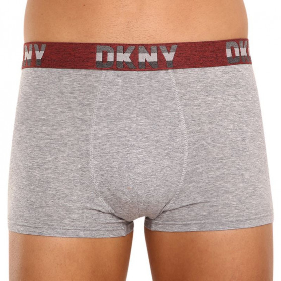 3PACK Vīriešu bokseru šorti DKNY Bellevue daudzkrāsaini (U5_6654_DKY_3PKA)