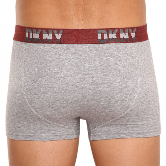 3PACK Vīriešu bokseru šorti DKNY Bellevue daudzkrāsaini (U5_6654_DKY_3PKA)