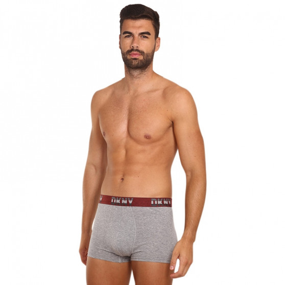 3PACK Vīriešu bokseru šorti DKNY Bellevue daudzkrāsaini (U5_6654_DKY_3PKA)