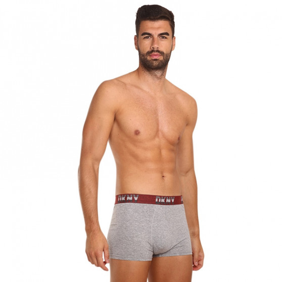 3PACK Vīriešu bokseru šorti DKNY Bellevue daudzkrāsaini (U5_6654_DKY_3PKA)