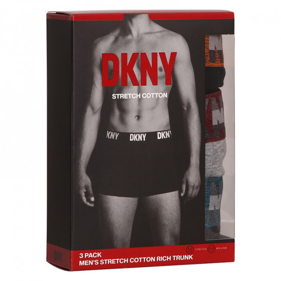 3PACK Vīriešu bokseru šorti DKNY Bellevue daudzkrāsaini (U5_6654_DKY_3PKA)