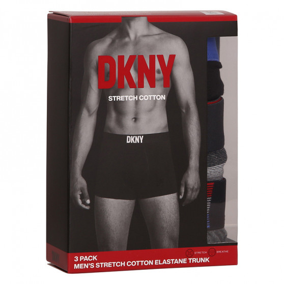 3PACK Vīriešu bokseru šorti DKNY Hinton daudzkrāsaini (U5_6660_DKY_3PKB)