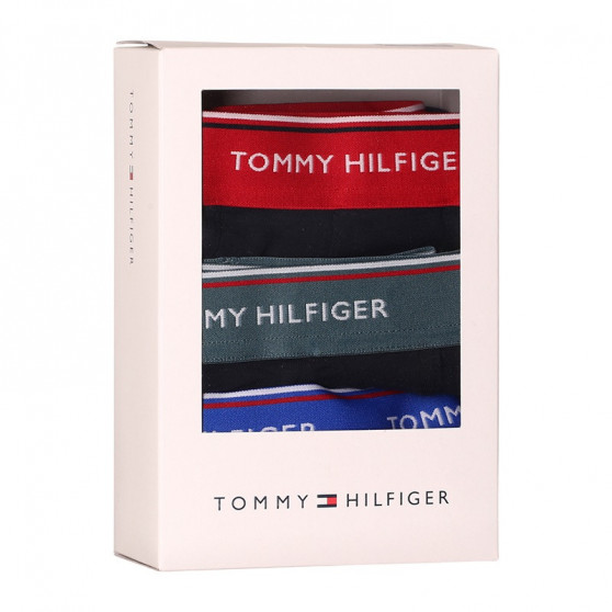 3PACK vīriešu bokseru šorti Tommy Hilfiger tumši zili (UM0UM01642 0SN)