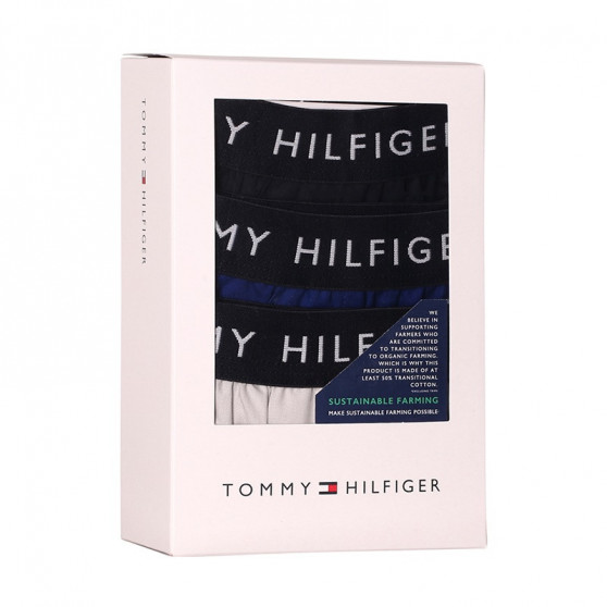 3PACK vīriešu bokseršorti Tommy Hilfiger daudzkrāsaini (UM0UM02327 0UK)