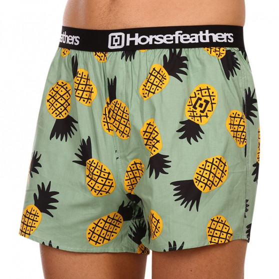 Vīriešu bokseršorti Horsefeathers Frazier pineapple (AM166D)