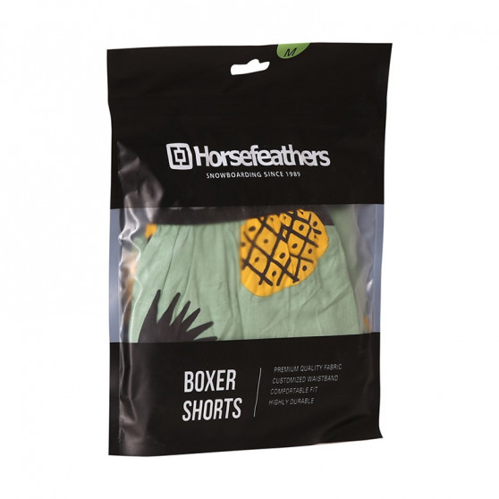 Vīriešu bokseršorti Horsefeathers Frazier pineapple (AM166D)