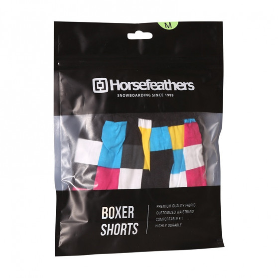 Vīriešu bokseršorti Horsefeathers Frazier Cmyk chek (AM166E)