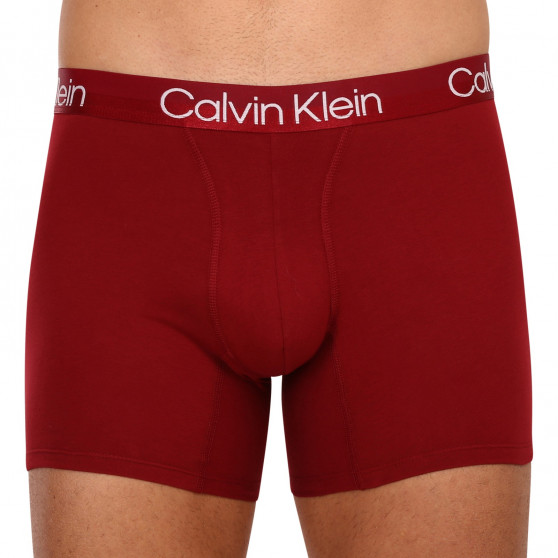 3PACK vīriešu bokseru šorti Calvin Klein daudzkrāsaini (NB2971A-6IN)