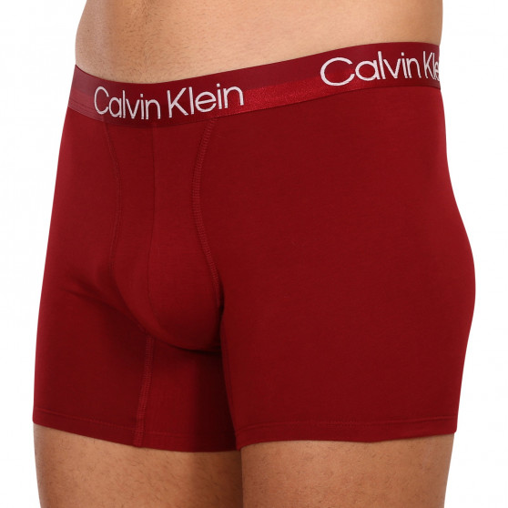 3PACK vīriešu bokseru šorti Calvin Klein daudzkrāsaini (NB2971A-6IN)