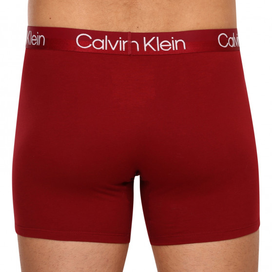 3PACK vīriešu bokseru šorti Calvin Klein daudzkrāsaini (NB2971A-6IN)