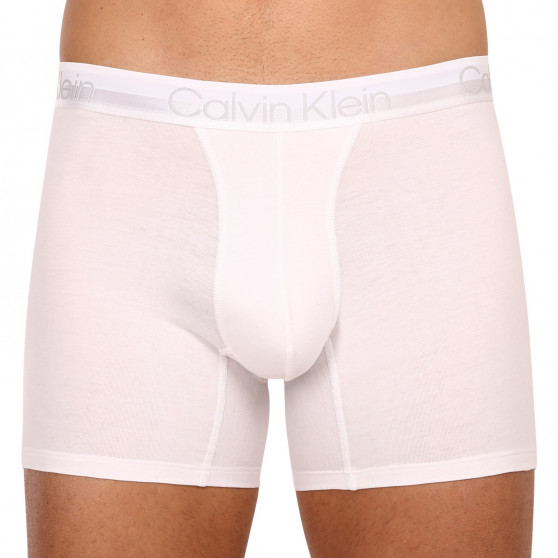 3PACK vīriešu bokseru šorti Calvin Klein daudzkrāsaini (NB2971A-6IN)