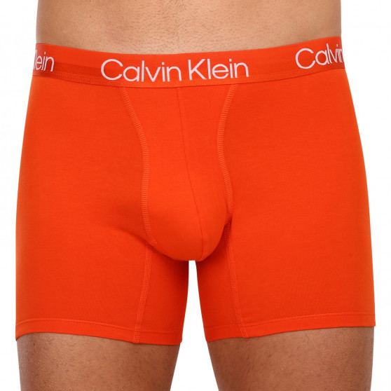 3PACK vīriešu bokseru šorti Calvin Klein daudzkrāsaini (NB2971A-6IN)