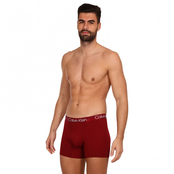 3PACK vīriešu bokseru šorti Calvin Klein daudzkrāsaini (NB2971A-6IN)