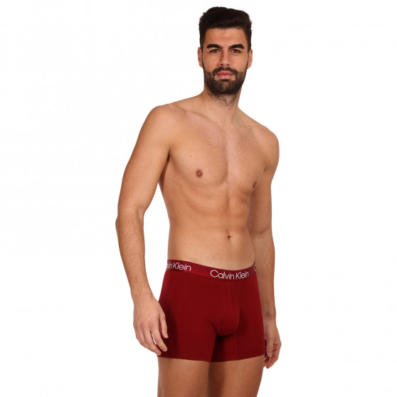 3PACK vīriešu bokseru šorti Calvin Klein daudzkrāsaini (NB2971A-6IN)