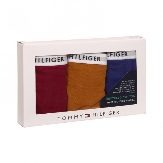 3PACK Sieviešu stringi Tommy Hilfiger daudzkrāsains (UW0UW02829 0XH)