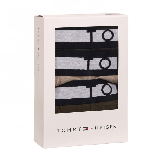 3PACK vīriešu bokseru šorti Tommy Hilfiger daudzkrāsaini (UM0UM02202 0UM)