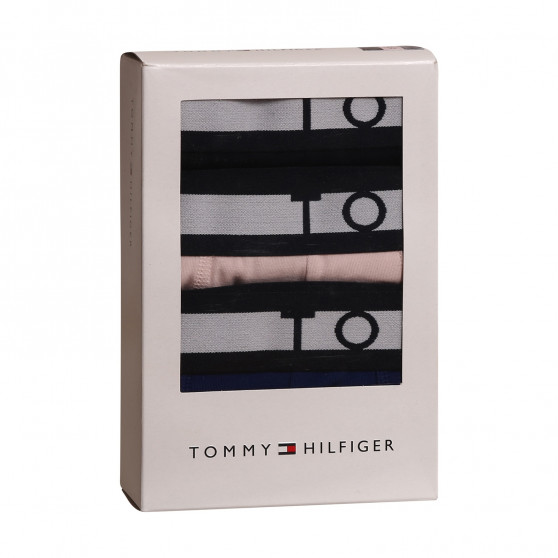 3PACK vīriešu bokseru šorti Tommy Hilfiger daudzkrāsaini (UM0UM02202 0TW)