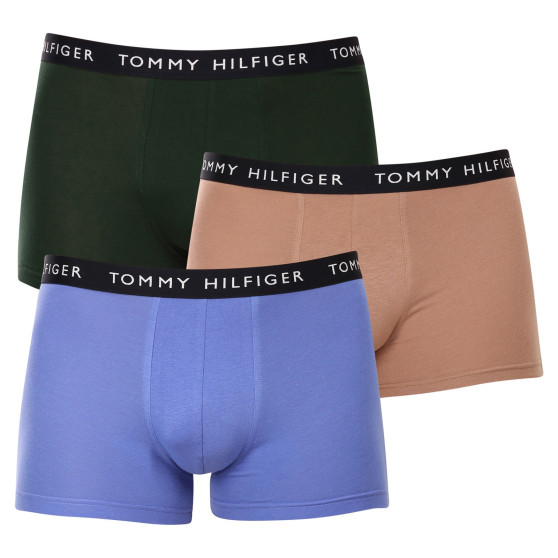 3PACK vīriešu bokseru šorti Tommy Hilfiger daudzkrāsaini (UM0UM02203 0V1)