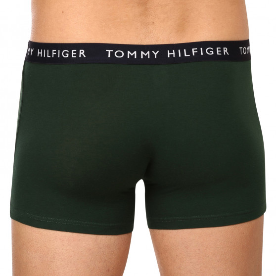 3PACK vīriešu bokseru šorti Tommy Hilfiger daudzkrāsaini (UM0UM02203 0V1)