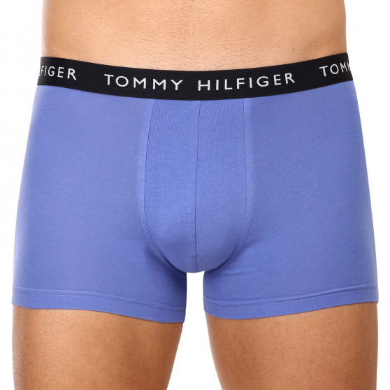 3PACK vīriešu bokseru šorti Tommy Hilfiger daudzkrāsaini (UM0UM02203 0V1)