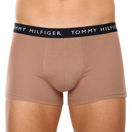 3PACK vīriešu bokseru šorti Tommy Hilfiger daudzkrāsaini (UM0UM02203 0V1)