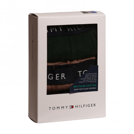 3PACK vīriešu bokseru šorti Tommy Hilfiger daudzkrāsaini (UM0UM02203 0V1)