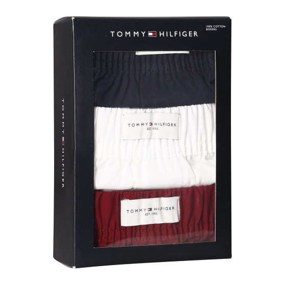 3PACK vīriešu bokserbokseršorti Tommy Hilfiger daudzkrāsaini (UM0UM02848 0WE)