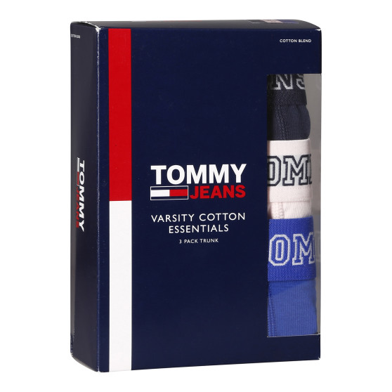 3PACK vīriešu bokseru šorti Tommy Hilfiger daudzkrāsaini (UM0UM02850 0T8)