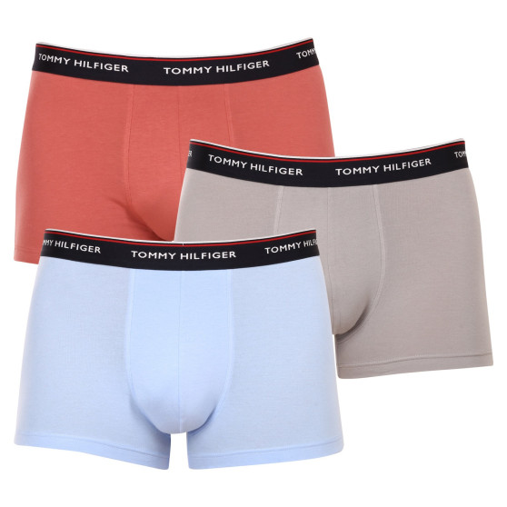 3PACK vīriešu bokseru šorti Tommy Hilfiger daudzkrāsaini (1U87903842 0Y4)