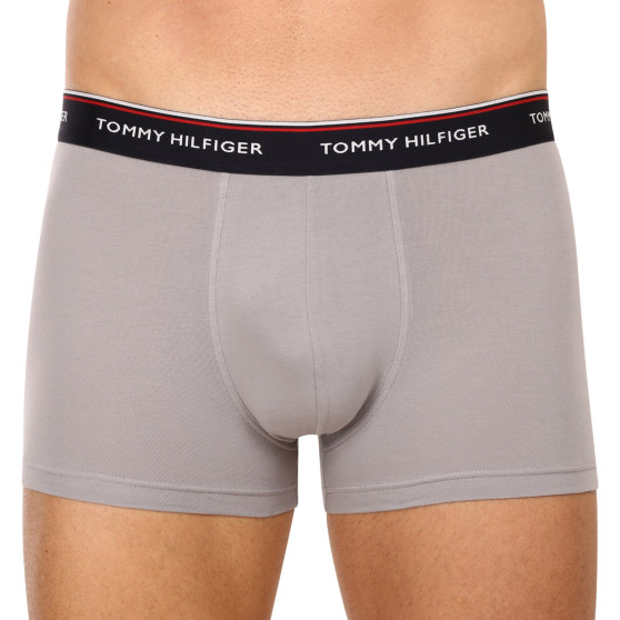 3PACK vīriešu bokseru šorti Tommy Hilfiger daudzkrāsaini (1U87903842 0Y4)