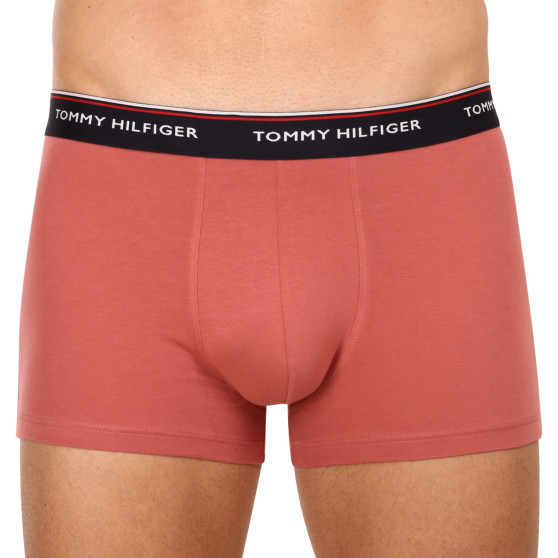 3PACK vīriešu bokseru šorti Tommy Hilfiger daudzkrāsaini (1U87903842 0Y4)