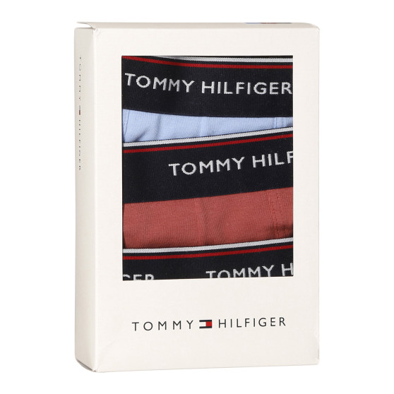 3PACK vīriešu bokseru šorti Tommy Hilfiger daudzkrāsaini (1U87903842 0Y4)