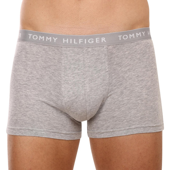 3PACK vīriešu bokseru šorti Tommy Hilfiger daudzkrāsaini (UM0UM02203 0XK)