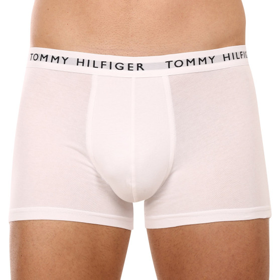 3PACK vīriešu bokseru šorti Tommy Hilfiger daudzkrāsaini (UM0UM02203 0XK)