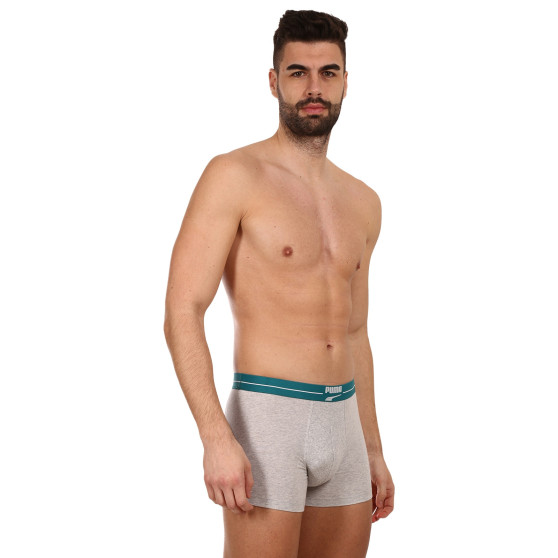 2PACK vīriešu bokseru šorti Puma daudzkrāsaini (701221415 004)