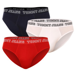 3PACK vīriešu apakšbikses Tommy Hilfiger daudzkrāsains (UM0UM02849 0T6)