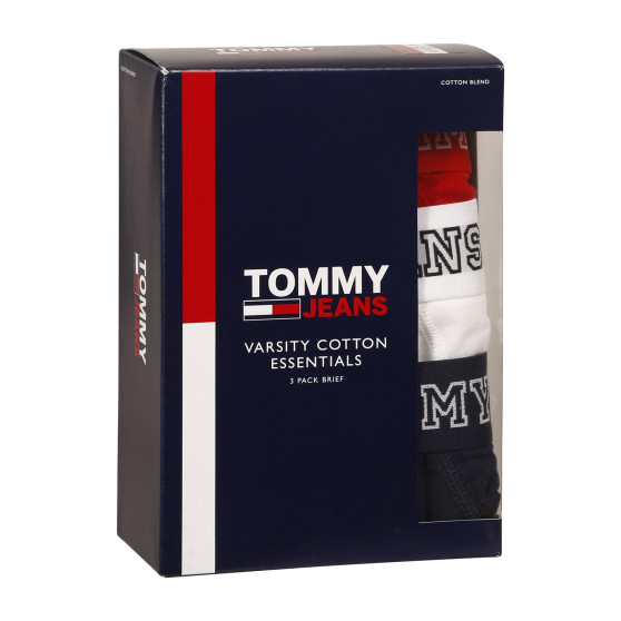 3PACK vīriešu apakšbikses Tommy Hilfiger daudzkrāsains (UM0UM02849 0T6)