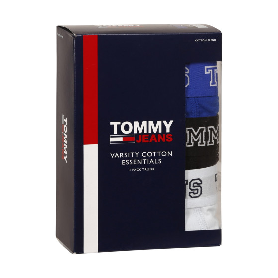 3PACK vīriešu bokseru šorti Tommy Hilfiger daudzkrāsaini (UM0UM02850 0TV)