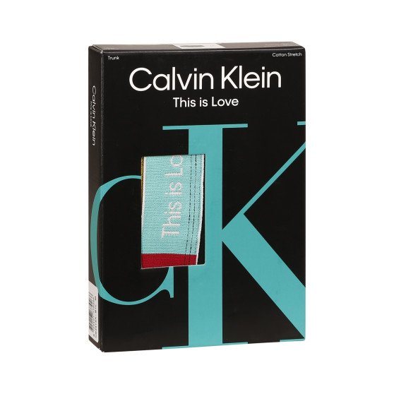 Vīriešu bokseru šorti Calvin Klein melni (NB3414A-BTL)