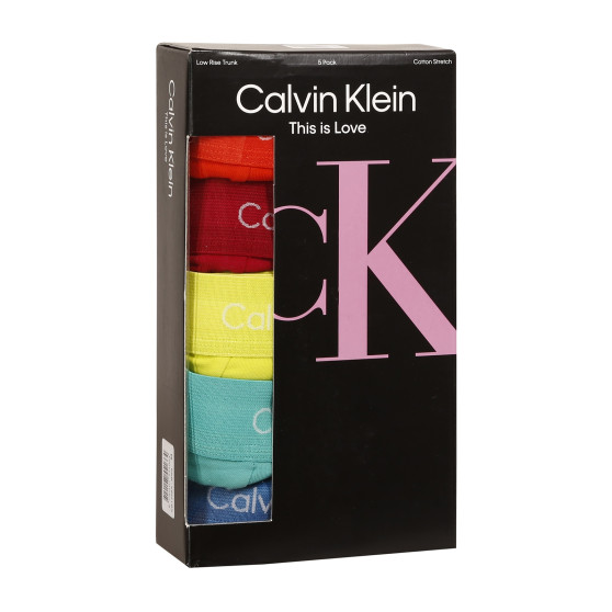 5PACK vīriešu bokseru šorti Calvin Klein daudzkrāsaini (NB1348A-BNG)