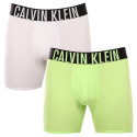 2PACK vīriešu bokseru šorti Calvin Klein daudzkrāsaini (NB2603A-C2D)